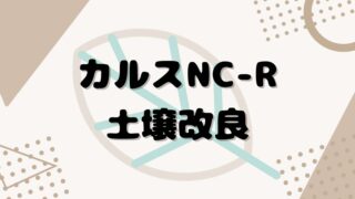 カルスNC-Rを初使用