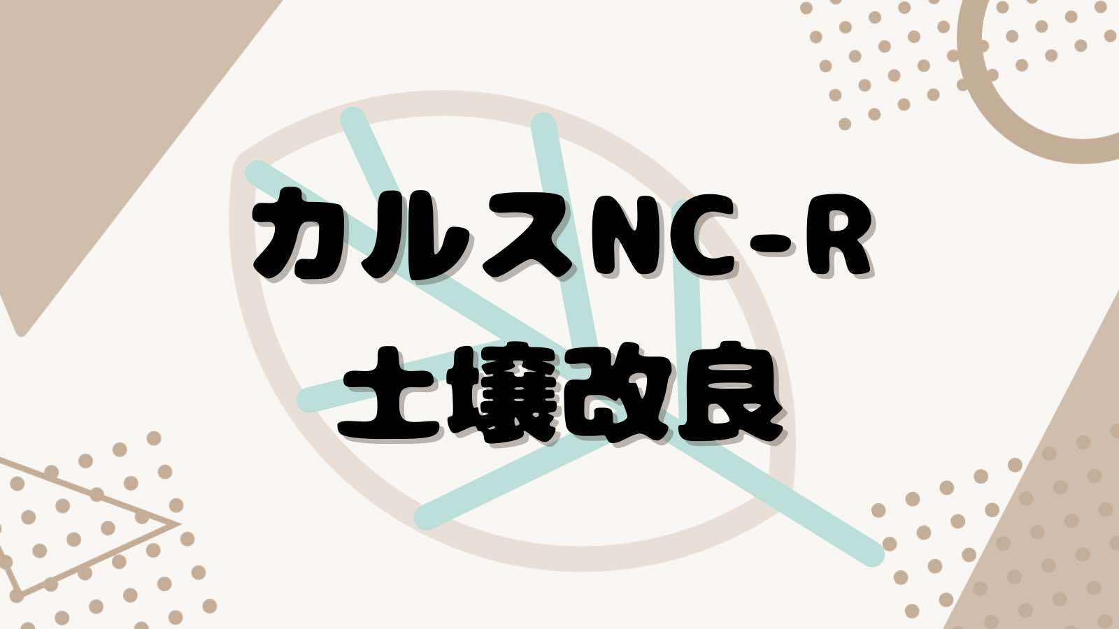 カルスNC-Rで土壌改良 (4週間経過）