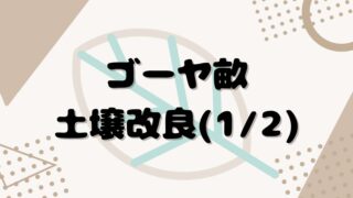 ゴーヤ畝(1/2)の土壌改良