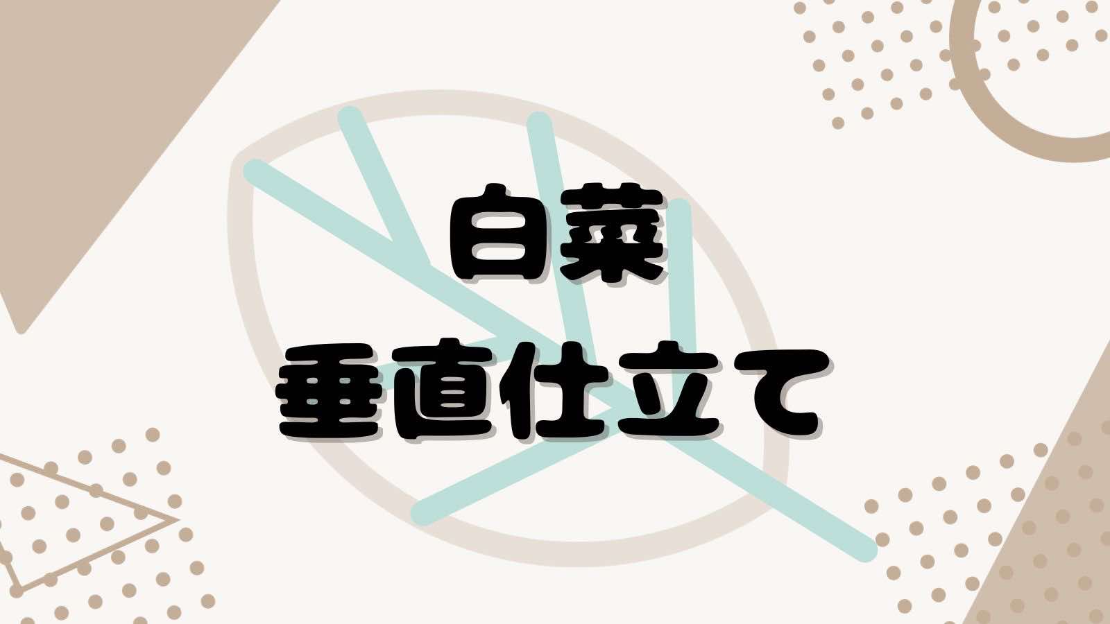 白菜を垂直仕立てする　（種まきから34日目）